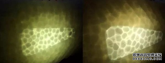 冰藍椰子真假如何鑒定 冰藍椰子真假鑒定方法 冰藍椰子真假如何鑒定 冰藍椰子真假鑒定方法