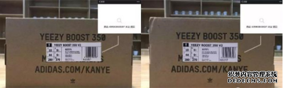 冰藍椰子真假如何鑒定 冰藍椰子真假鑒定方法 冰藍椰子真假如何鑒定 冰藍椰子真假鑒定方法