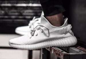 冰藍椰子真假如何鑒定 冰藍椰子真假鑒定方法