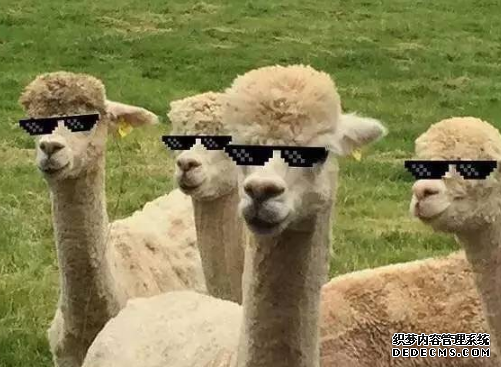 阿爾巴卡大衣怎么保養 阿爾巴卡衣物怎么清洗