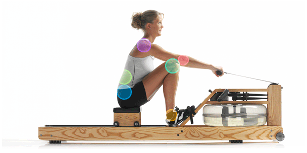 劃船機(jī)減肥效果如何 劃船機(jī)正確鍛煉方法 劃船機(jī)減肥效果如何 劃船機(jī)正確鍛煉方法