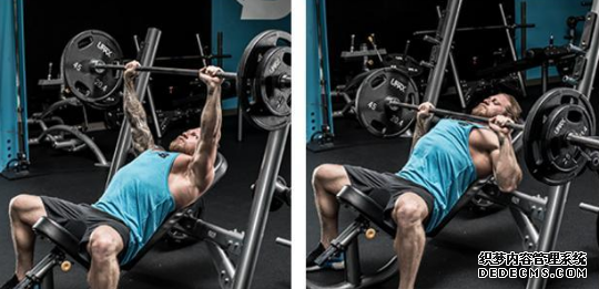 臥推應該怎樣練 臥推的科學訓練方法 臥推應該怎樣練 臥推的科學訓練方法