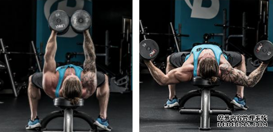 臥推應該怎樣練 臥推的科學訓練方法 臥推應該怎樣練 臥推的科學訓練方法